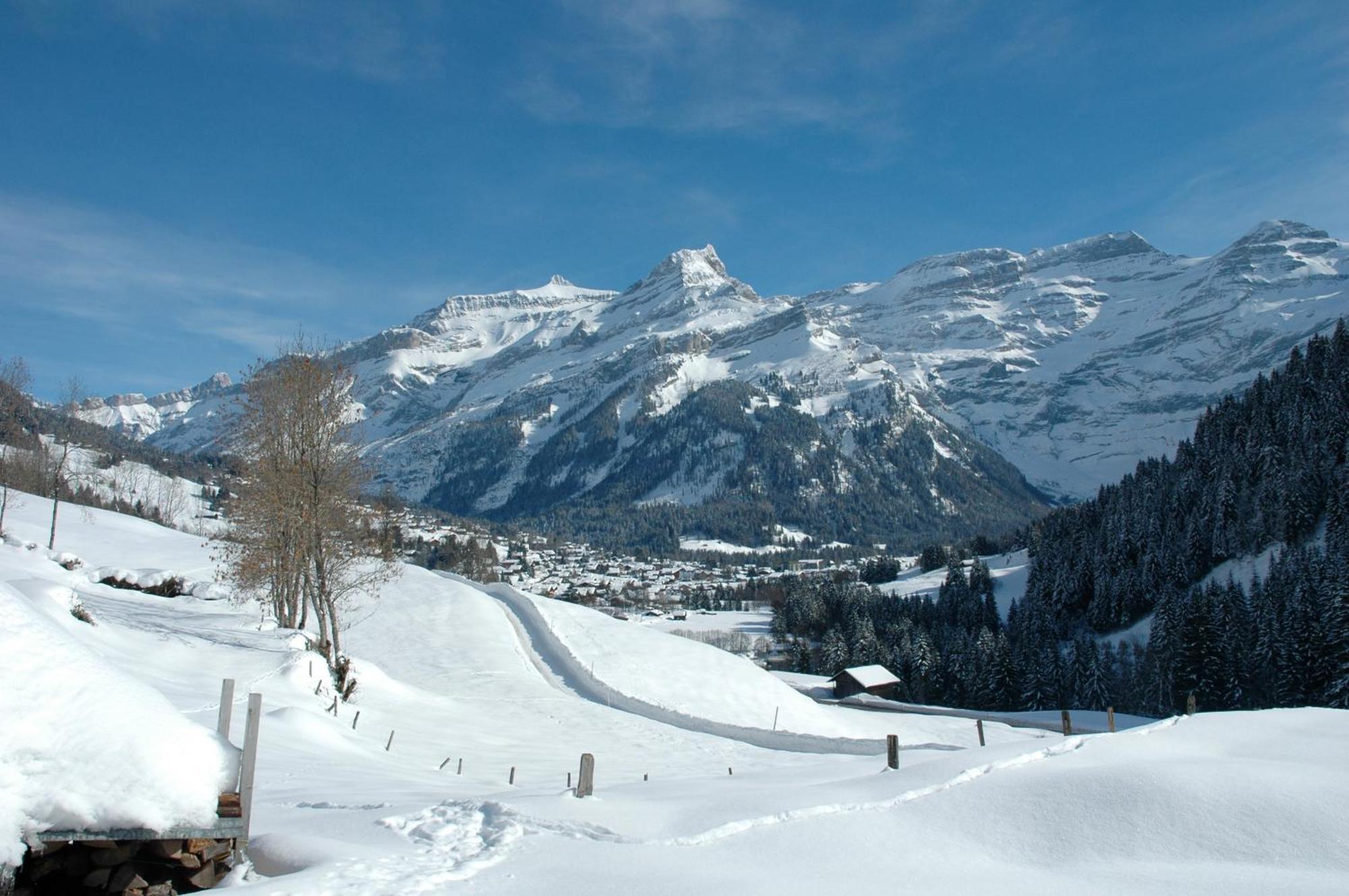 Historic Hotel Du Pillon Les Diablerets Eksteriør billede