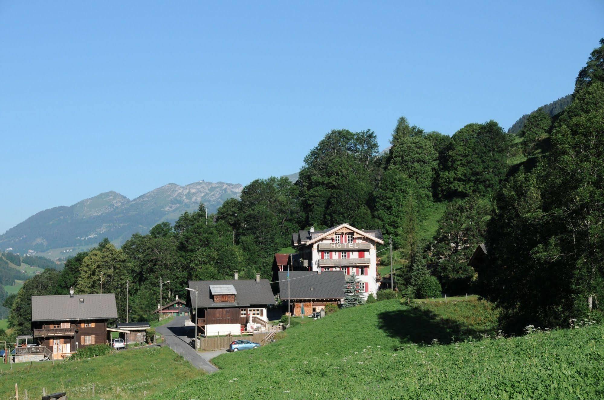 Historic Hotel Du Pillon Les Diablerets Eksteriør billede
